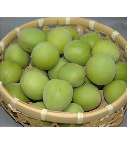 Amazon.co.jp: 希少！ 青森県産 梅 あんず 八助 5kg クール冷蔵便